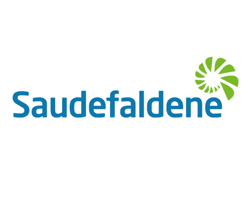 Saudefaldene søker Direktør