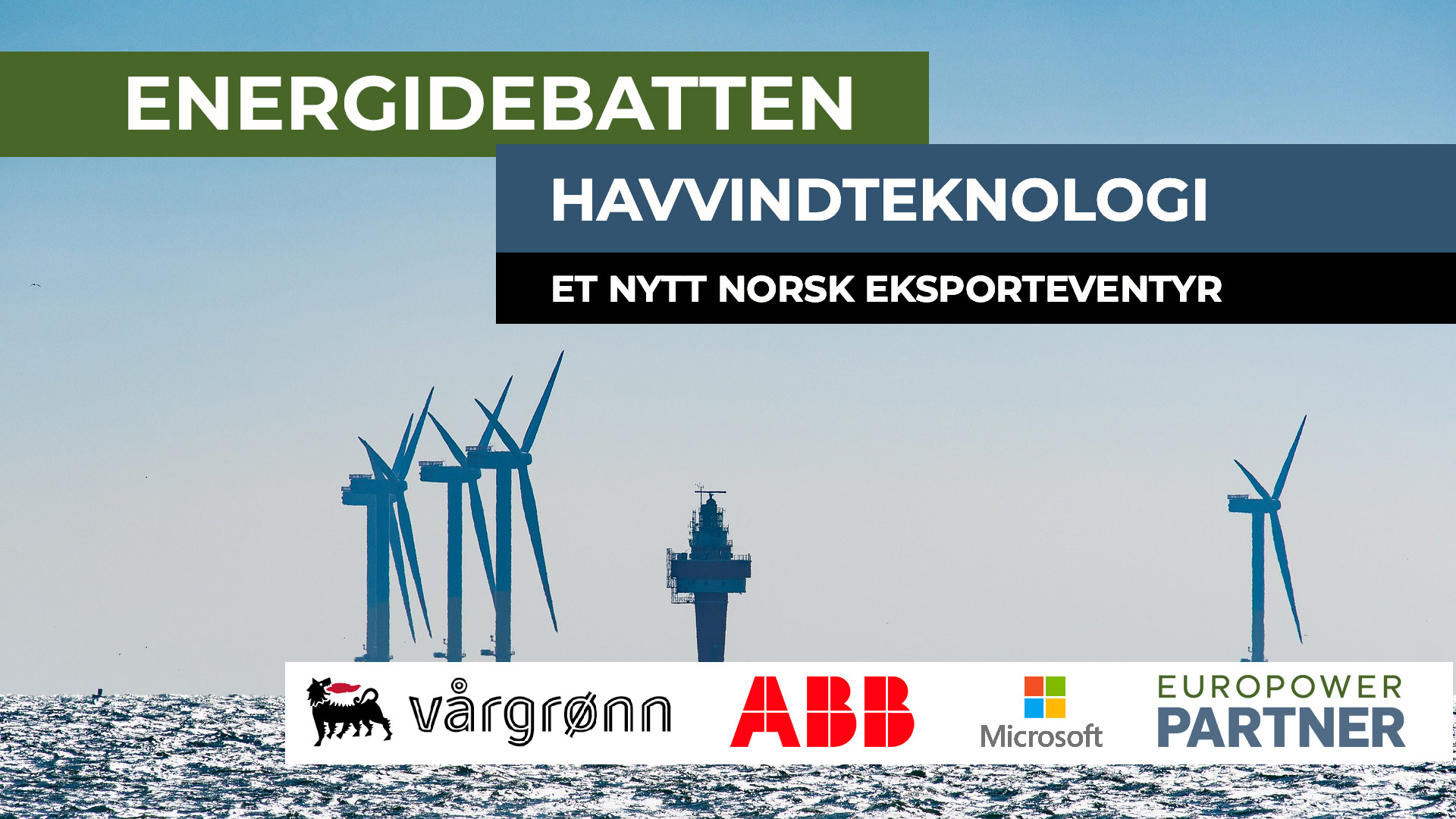 ENERGIDEBATTEN-HAVVIND