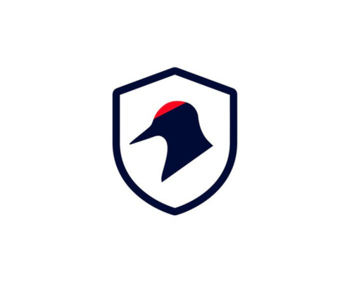 Gridguard AS søker CTO
